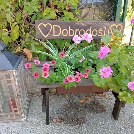 Mendula Appartement Pakoštane Buitenkant foto